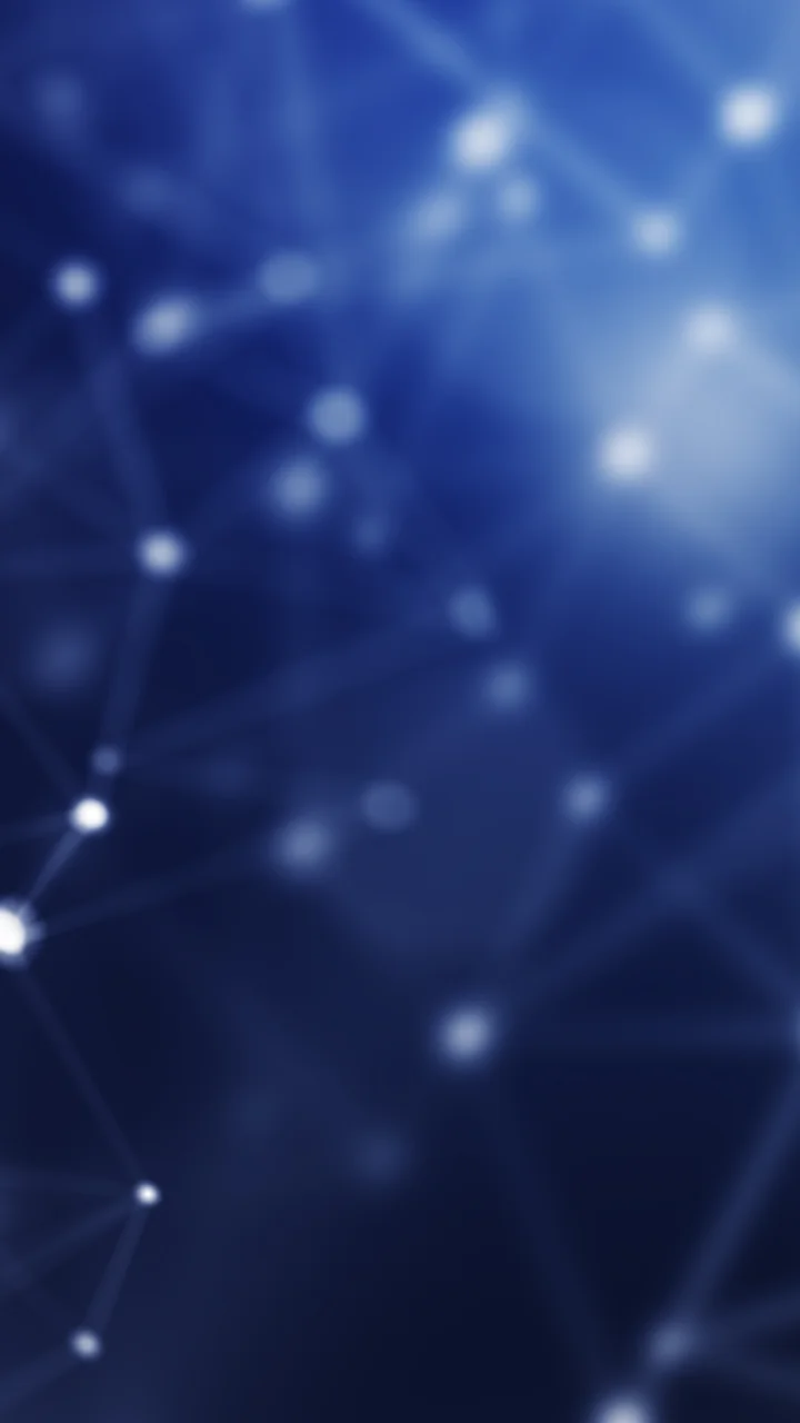 Digital Network Space